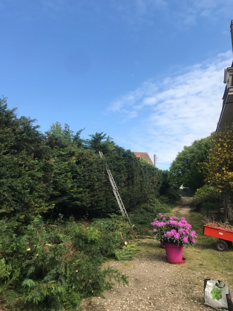 taille de haies 95 78 92 